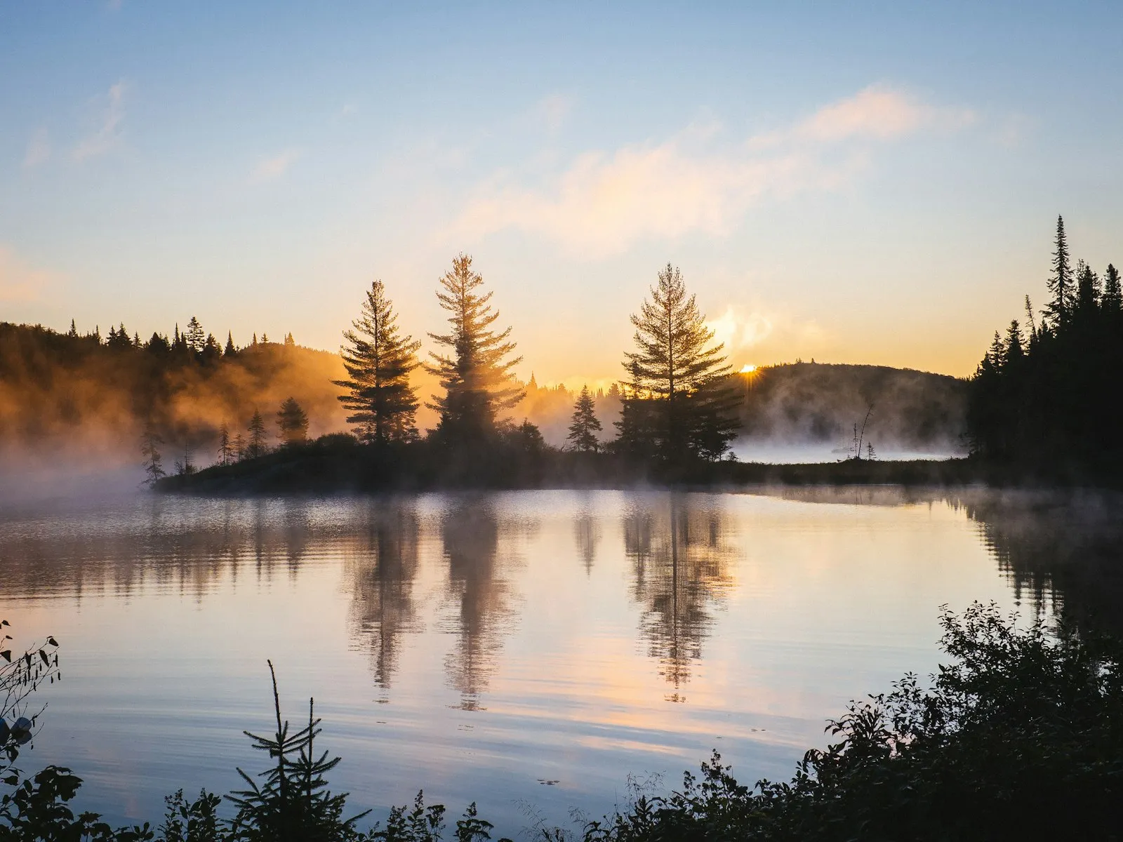 Still water and trees at sunrise Still water and trees at sunrise