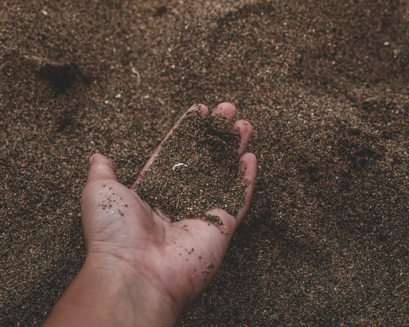 Hands grounded in earth Hands grounded in earth